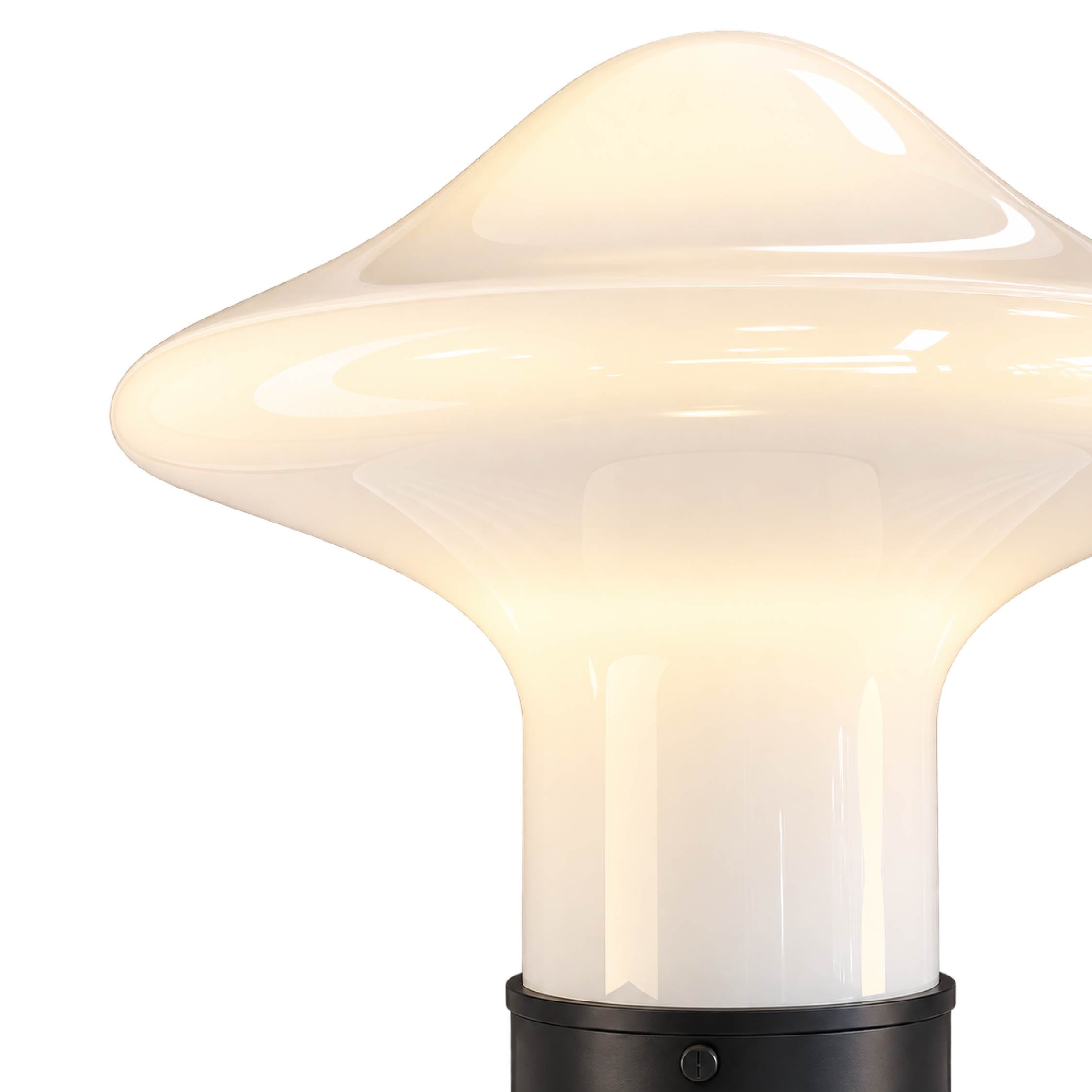Table Lamp Palma XX113