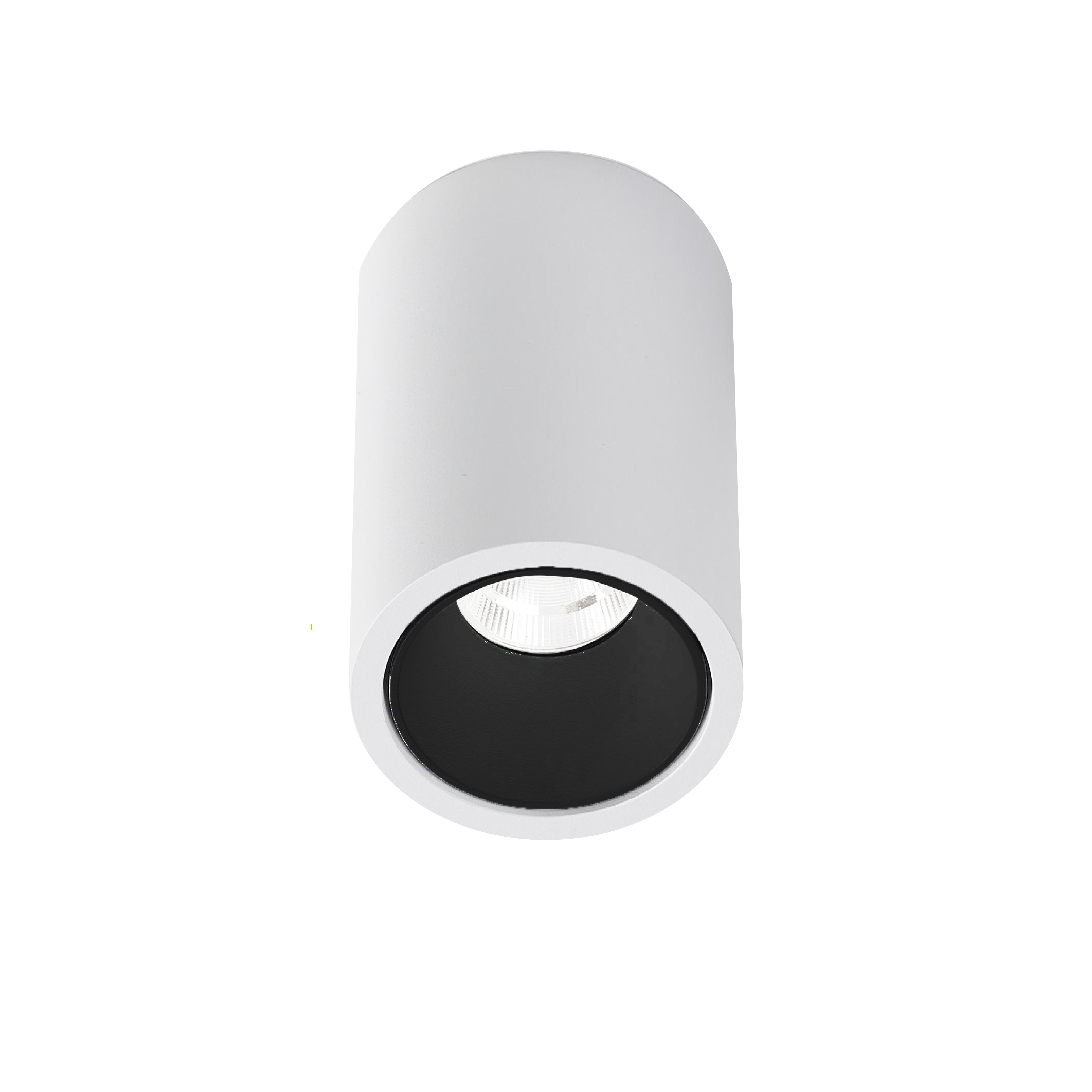 Downlight HL105