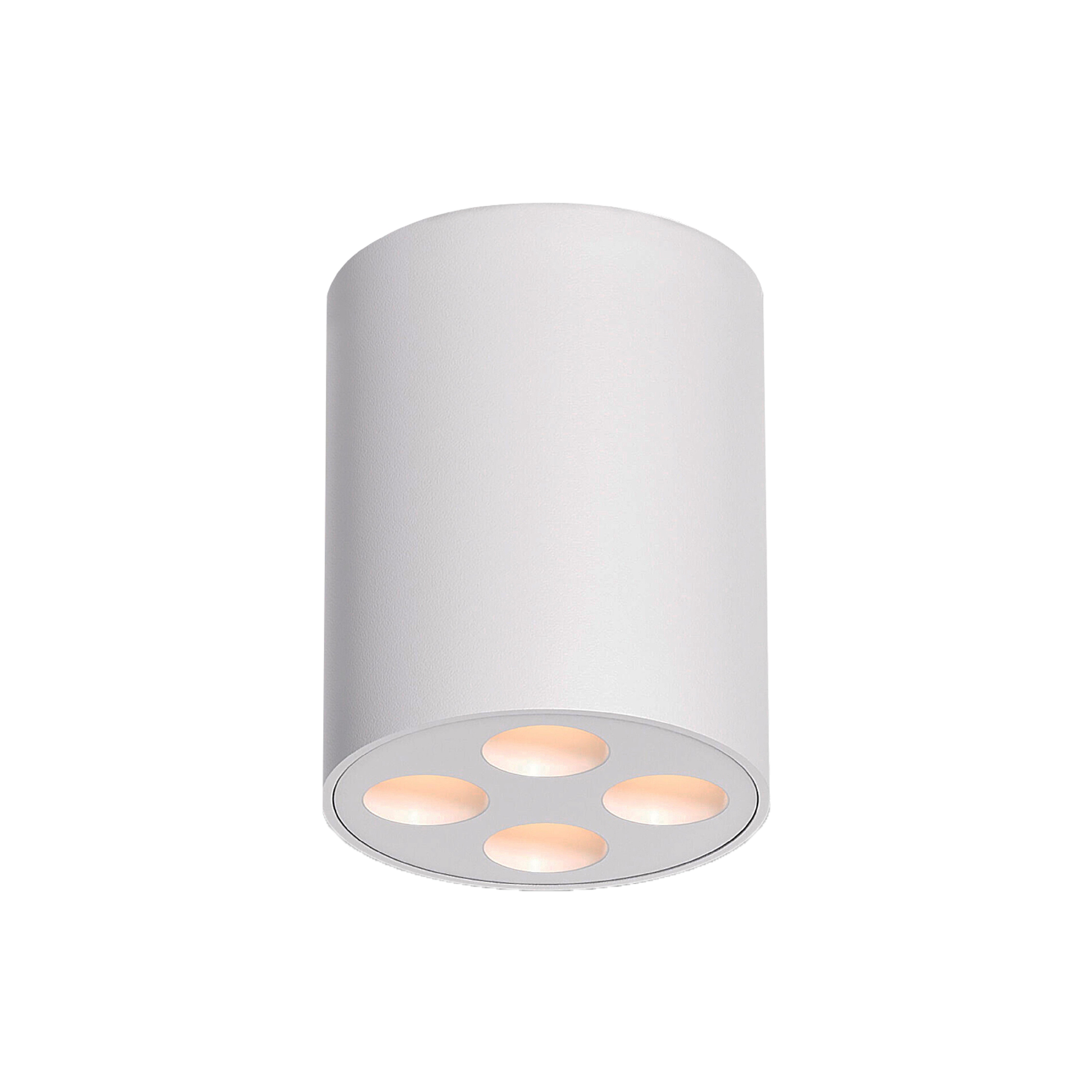 Downlight HL114