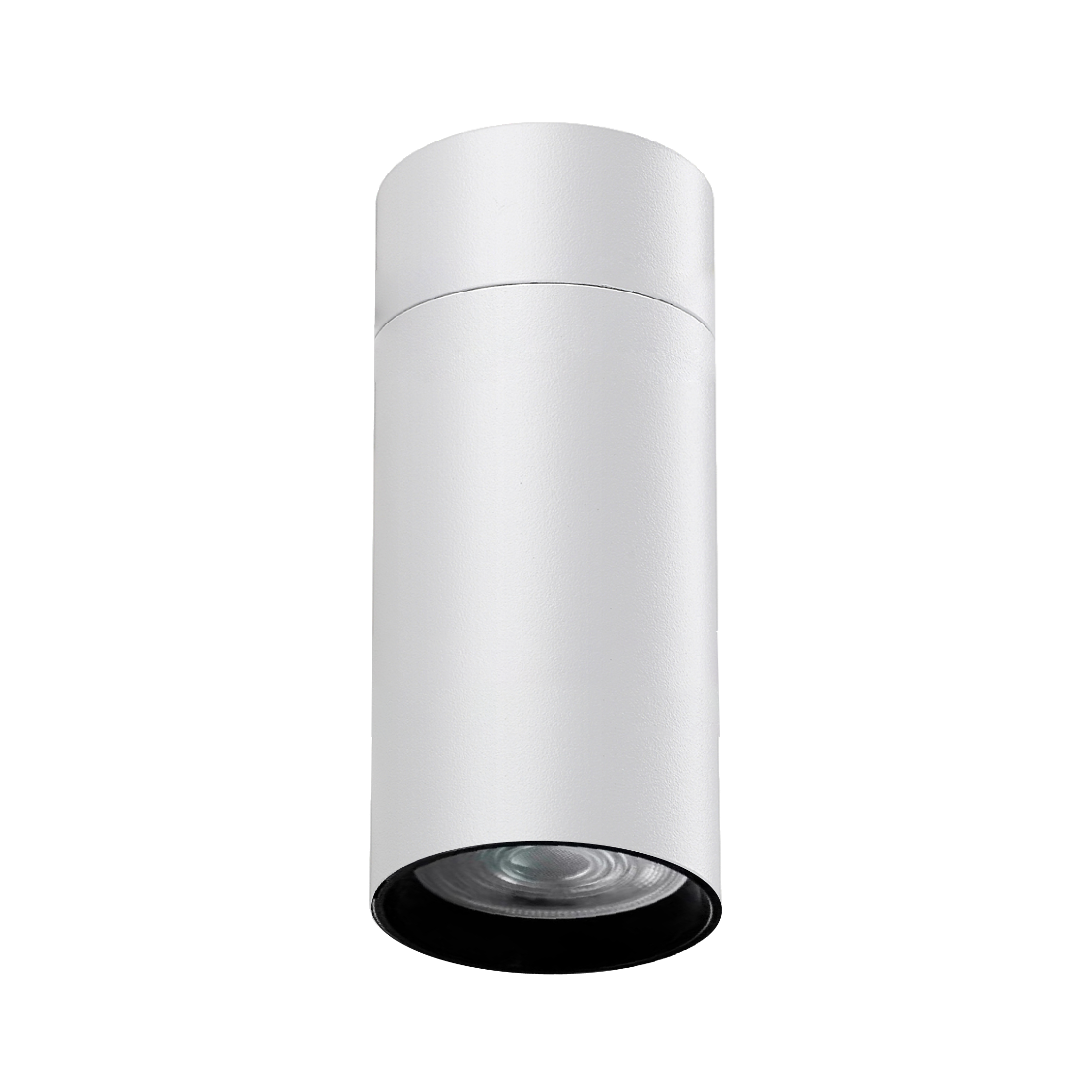Downlight HL118
