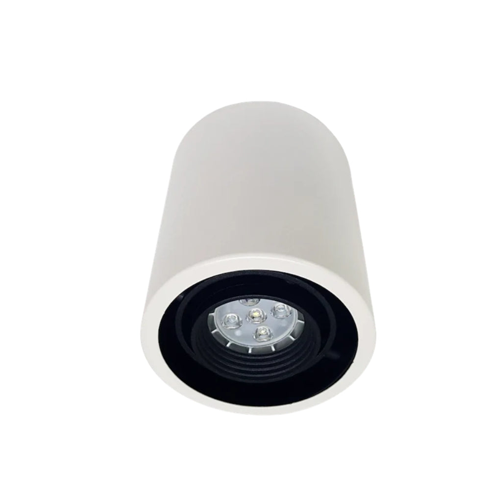 Downlight HL61