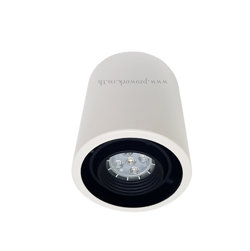 Downlight HL61