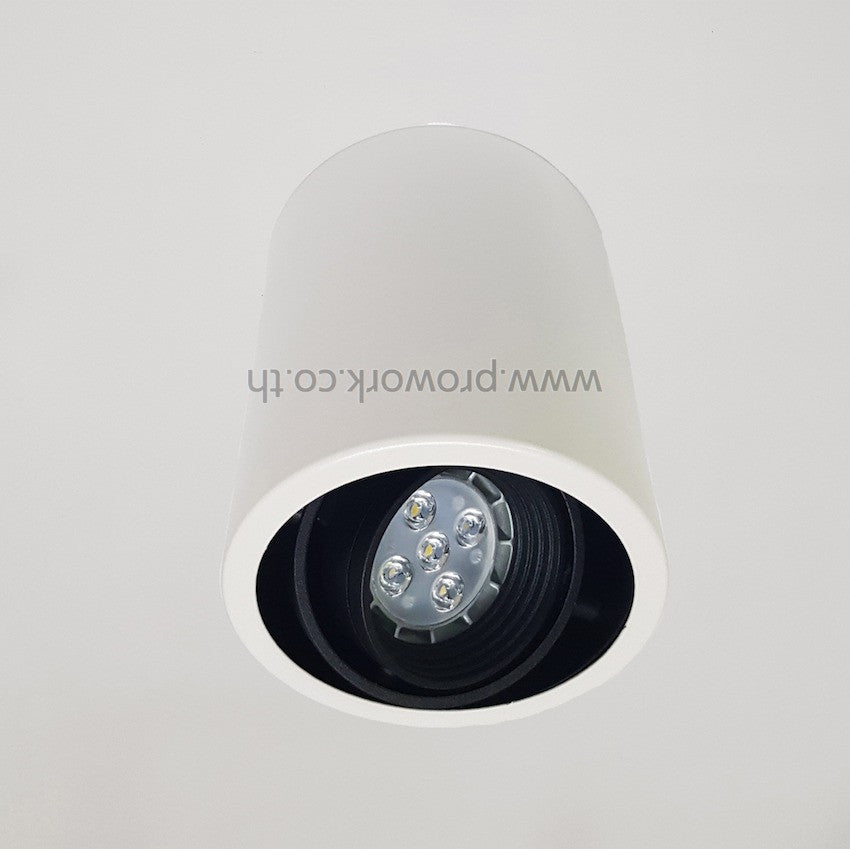 Downlight HL61