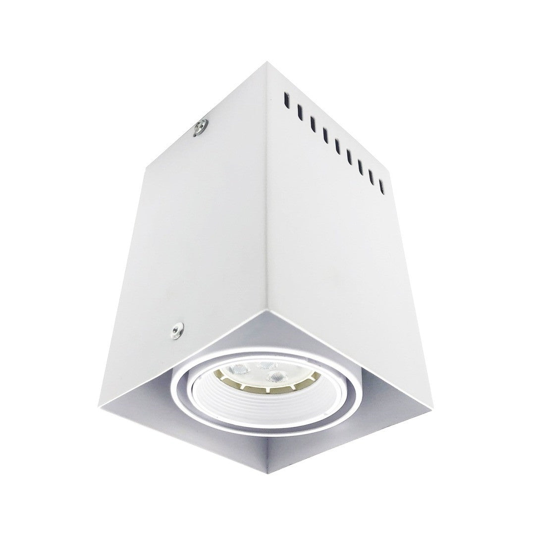 Downlight HL89