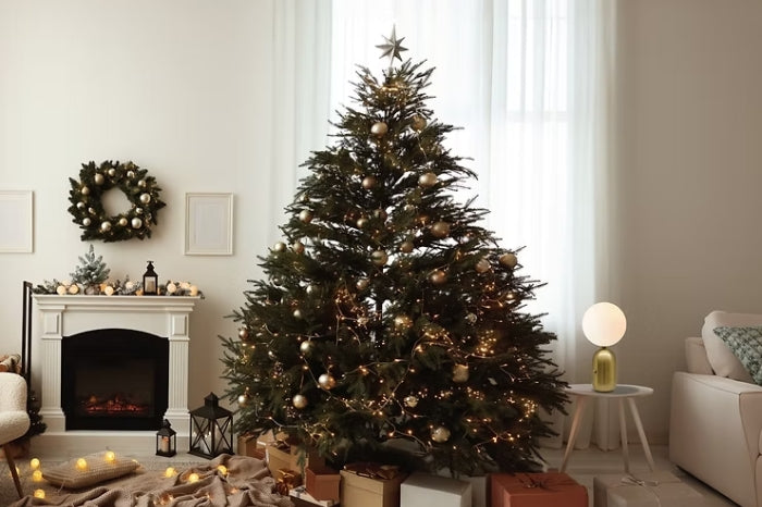 Lighting Idea for Christmas