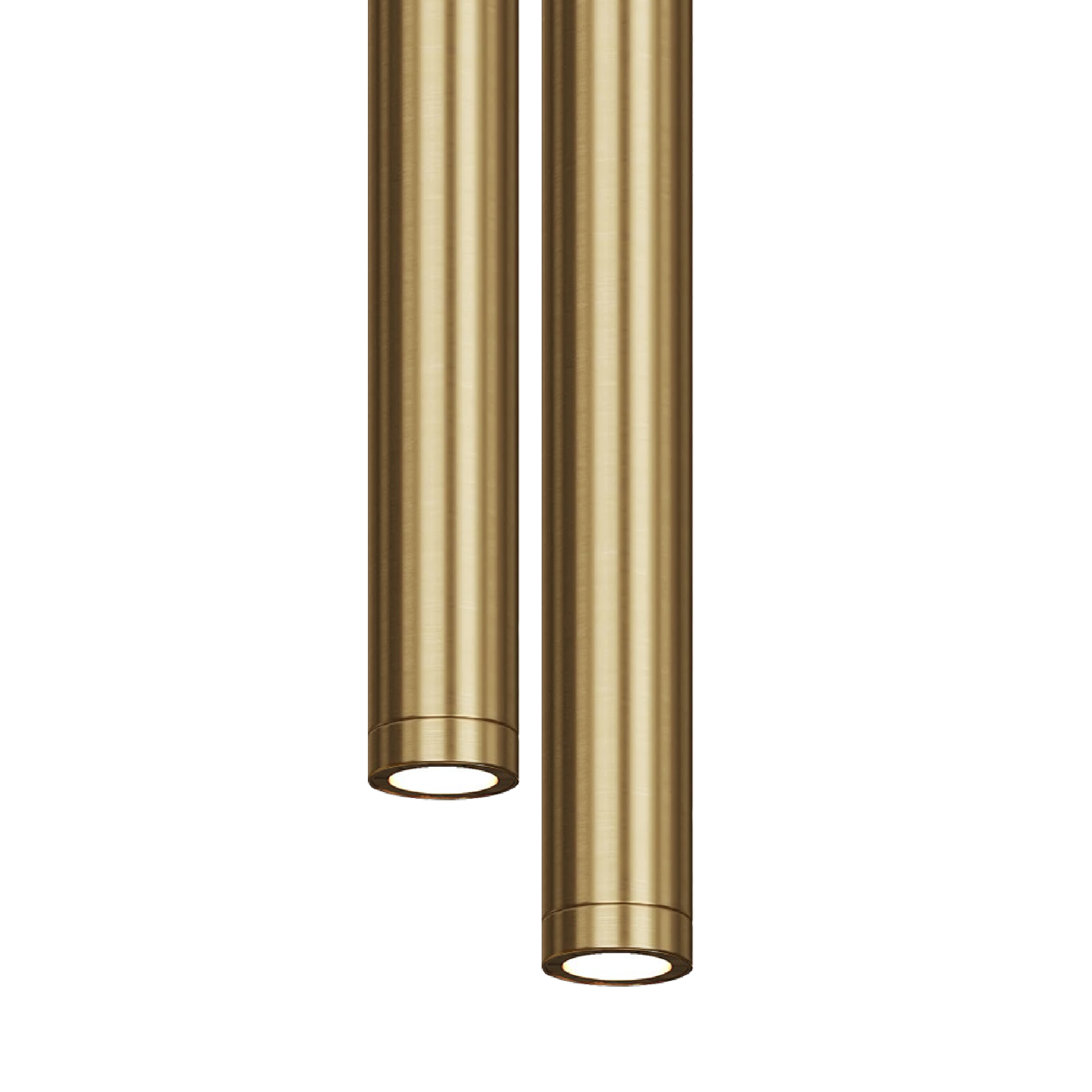 3601519