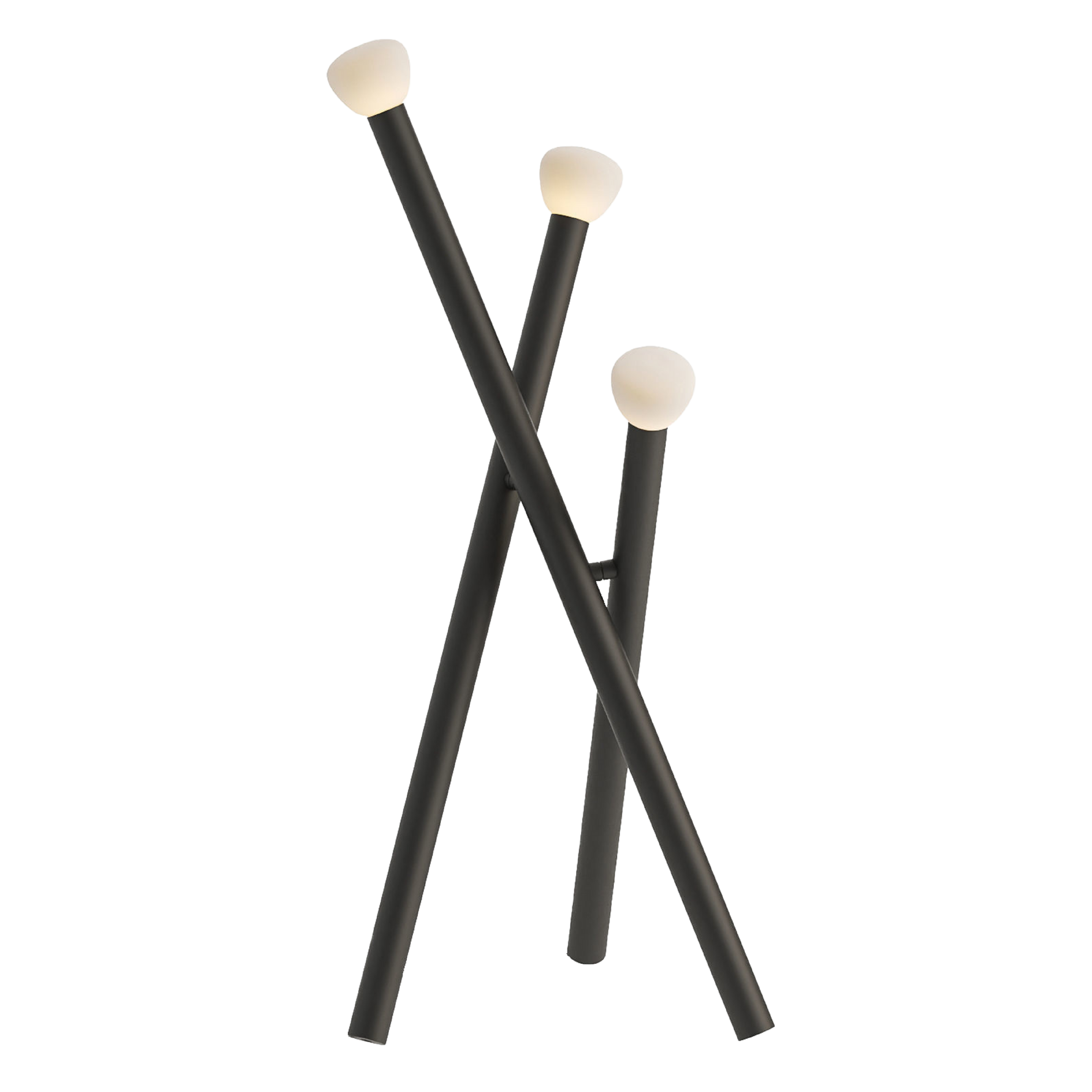 Floor Lamp TIK PRO XX77