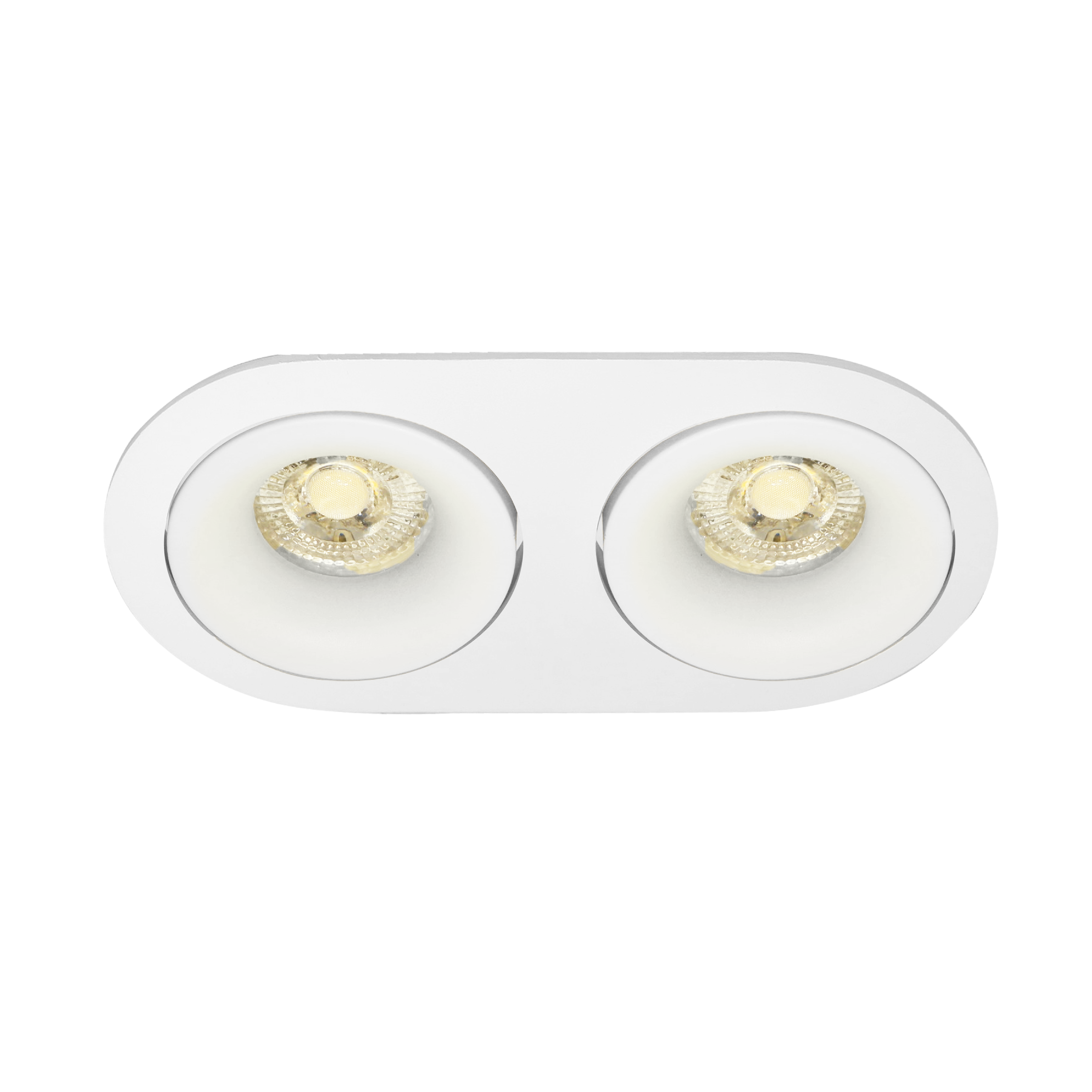 Downlight HL109
