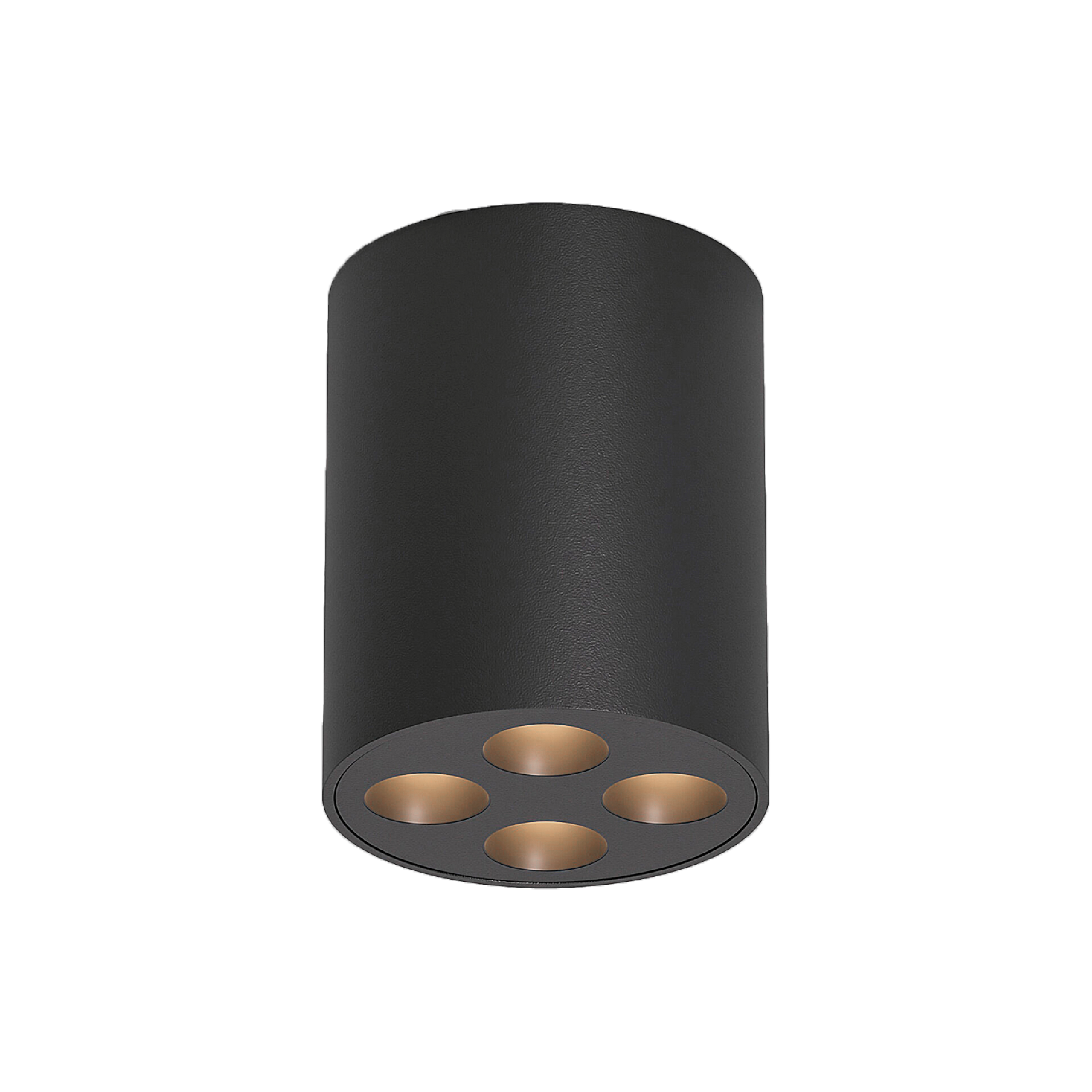 Downlight HL113