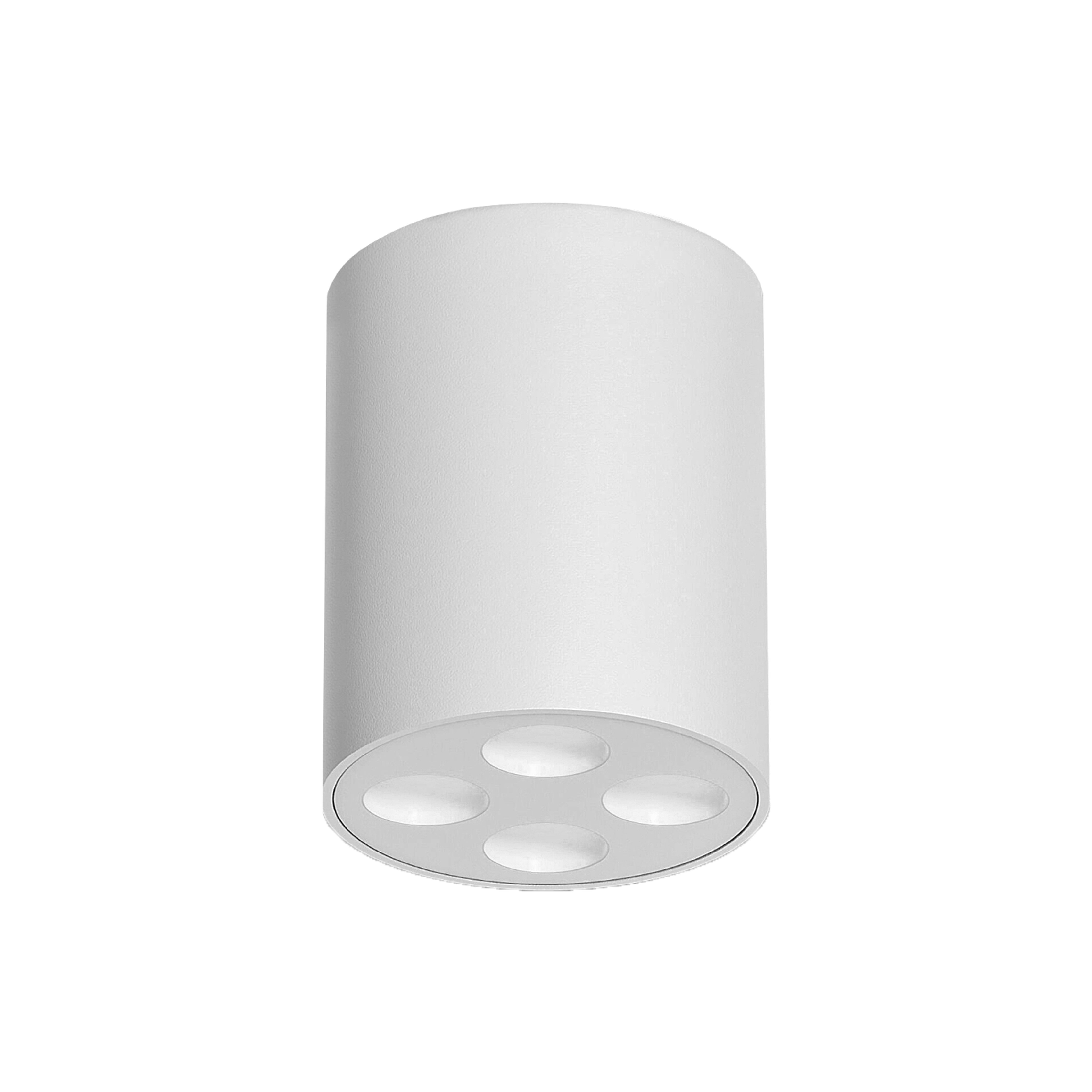 Downlight HL114
