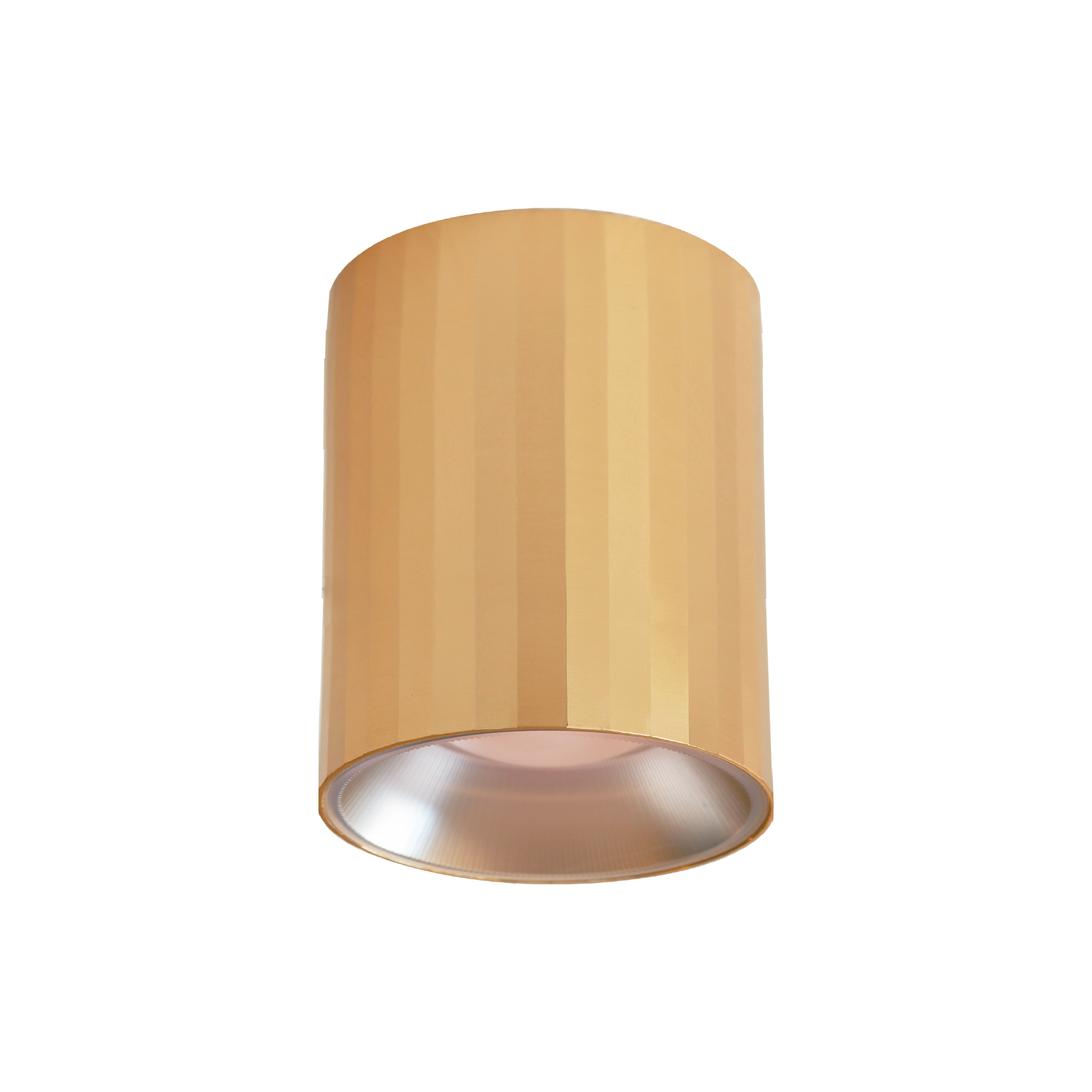 Downlight HL120