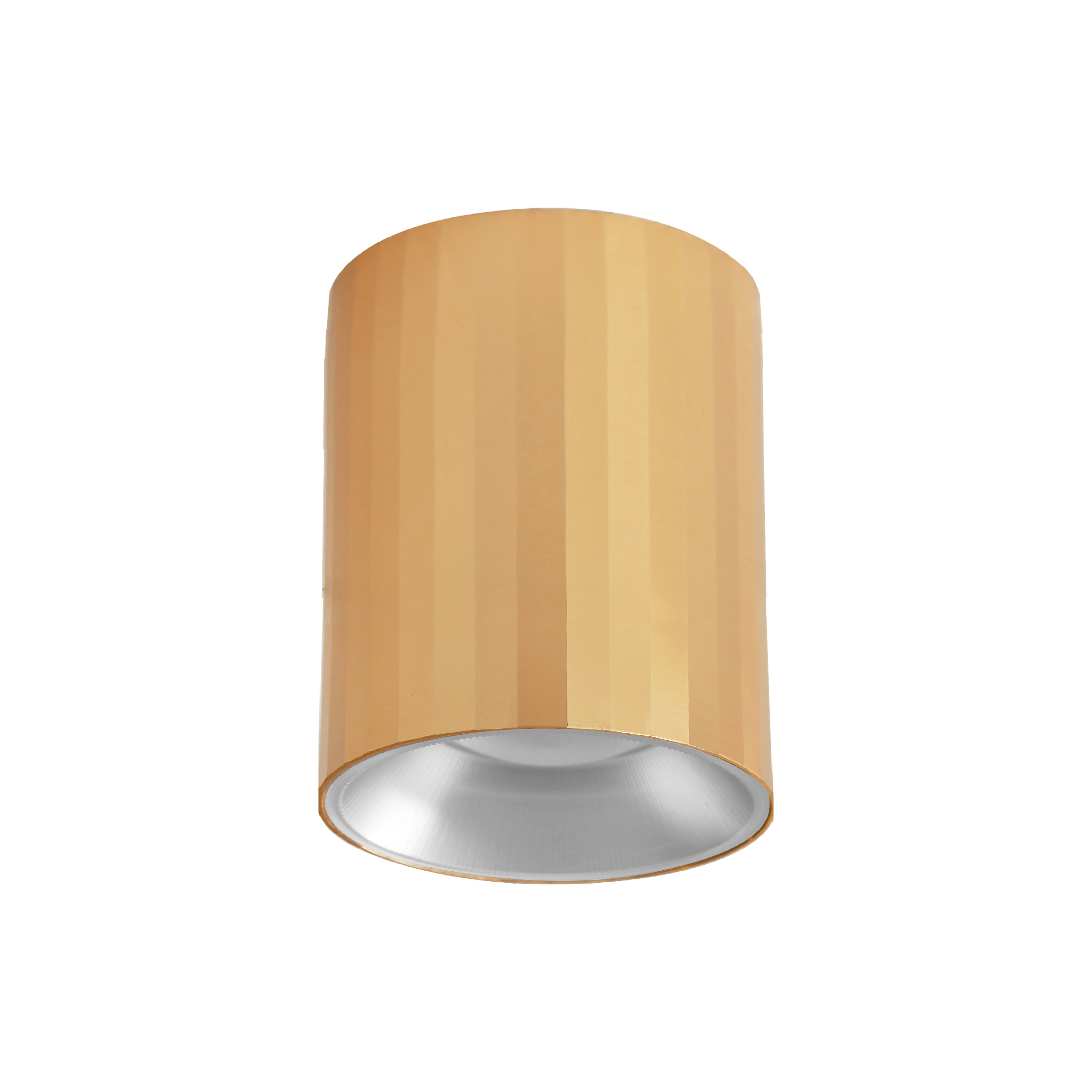 Downlight HL120