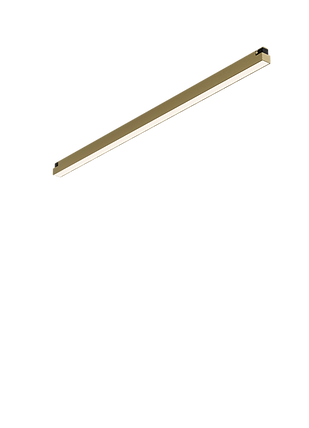 LUCE Tracklight LT2 LUCE AUGUST 24 4000K Gold